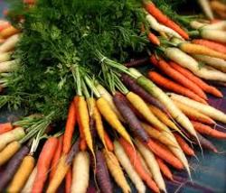 Carrot Rainbow (LOCAL)